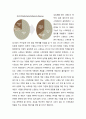닌텐도DS 마케팅전략분석과 닌텐도 기업분석 및 닌텐도DS 성공법칙 및 향후전략 40페이지