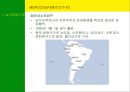 남미의 국제경영 3페이지