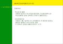 남미의 국제경영 5페이지