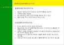 남미의 국제경영 8페이지