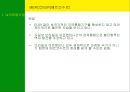 남미의 국제경영 10페이지