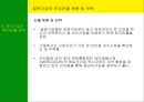 남미의 국제경영 12페이지
