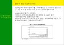 남미의 국제경영 17페이지