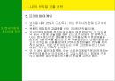 남미의 국제경영 22페이지