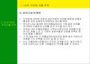 남미의 국제경영 23페이지