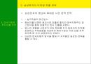 남미의 국제경영 27페이지