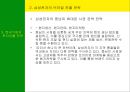 남미의 국제경영 29페이지