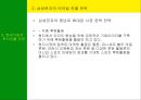 남미의 국제경영 30페이지