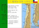 남미의 국제경영 31페이지