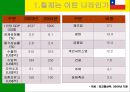 남미의 국제경영 32페이지