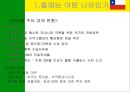 남미의 국제경영 35페이지