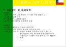 남미의 국제경영 37페이지
