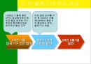 남미의 국제경영 41페이지