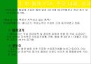 남미의 국제경영 54페이지