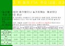 남미의 국제경영 60페이지