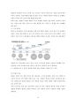 아모레퍼시픽 AMOREPACIFIC 13페이지