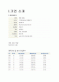 현대자동차의 기업분석 및 경영분석(경영전략) 3페이지