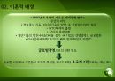 초국적 기업의 국경없는 경영 4페이지