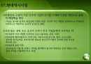 초국적 기업의 국경없는 경영 11페이지