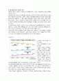 우리나라 조기유학에 대해 6페이지