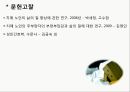 성인 퇴행성 질환과 삶의 질.ppt 27페이지
