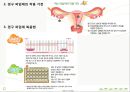 모성 가족계획과 피임 - 가족계획과 피임법.ppt 30페이지