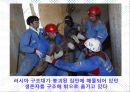 지역 재난구호활동 31페이지