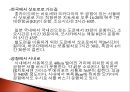 세계에서 가장 즐거운 축제들 50페이지