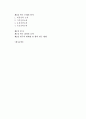[졸업논문] 인터넷마케팅의 국내외 기업 사례분석과 전략에 관한 연구 2페이지