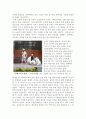 [탐방 감상문] 가야문화의 체험과 오광대의 의미 - 김해 가야 문화축제를 다녀와서 4페이지