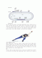 [동계스포츠] 스피드스케이팅 [ speed skating ]에 대해서 4페이지