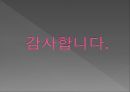 청량음료 (soft drinks).ppt 19페이지