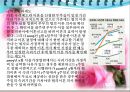 가족복지론 - 이혼가족에 대해서 27페이지