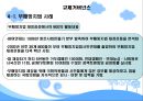 규제거버넌스와 NGO의 정책참여에 관한 연구 10페이지