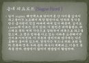 유럽 문화의 이해 - 노르웨이 피요르드 해안 13페이지
