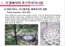포스트모더니즘의 경향과 해결과제 8페이지