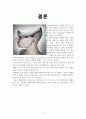 생물미래학 - 알츠하이머에 관해서 15페이지