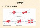 [실험레포트] 무기화학 실험 - 구리(II)착물 [Cu(NH3)4]SO4H2O의 제조,분석과 반응성 8페이지