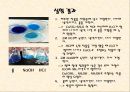 [실험레포트] 무기화학 실험 - 구리(II)착물 [Cu(NH3)4]SO4H2O의 제조,분석과 반응성 22페이지
