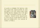 [실험보고서] 로크웰 경도 시험 10페이지