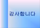 [실험보고서] 단진자의 운동과 중력 12페이지