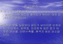 충격시험기의 원리와 시험 20페이지