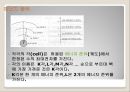 전자 회로에 대해서 9페이지