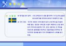 방사능 폐기물 처리장에 대한ppt 11페이지