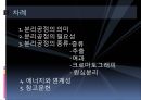 분리공정 2페이지