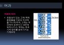 분리공정 11페이지
