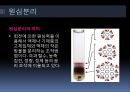 분리공정 17페이지