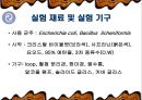 그람 염색 [Gram stain] 7페이지
