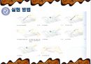 그람 염색 [Gram stain] 9페이지