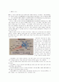 ERPⅡ의 개념과 활용 전략 2페이지